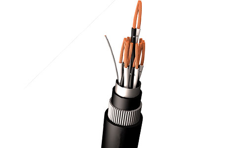 Armored Instrumentation Cables